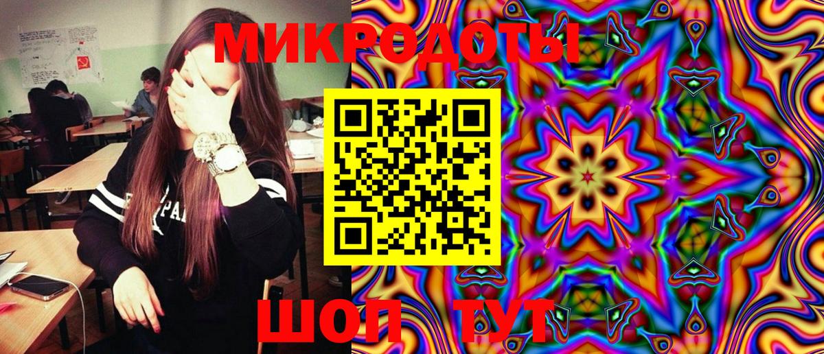 Галлюциногенные грибы Psilocybe Бийск