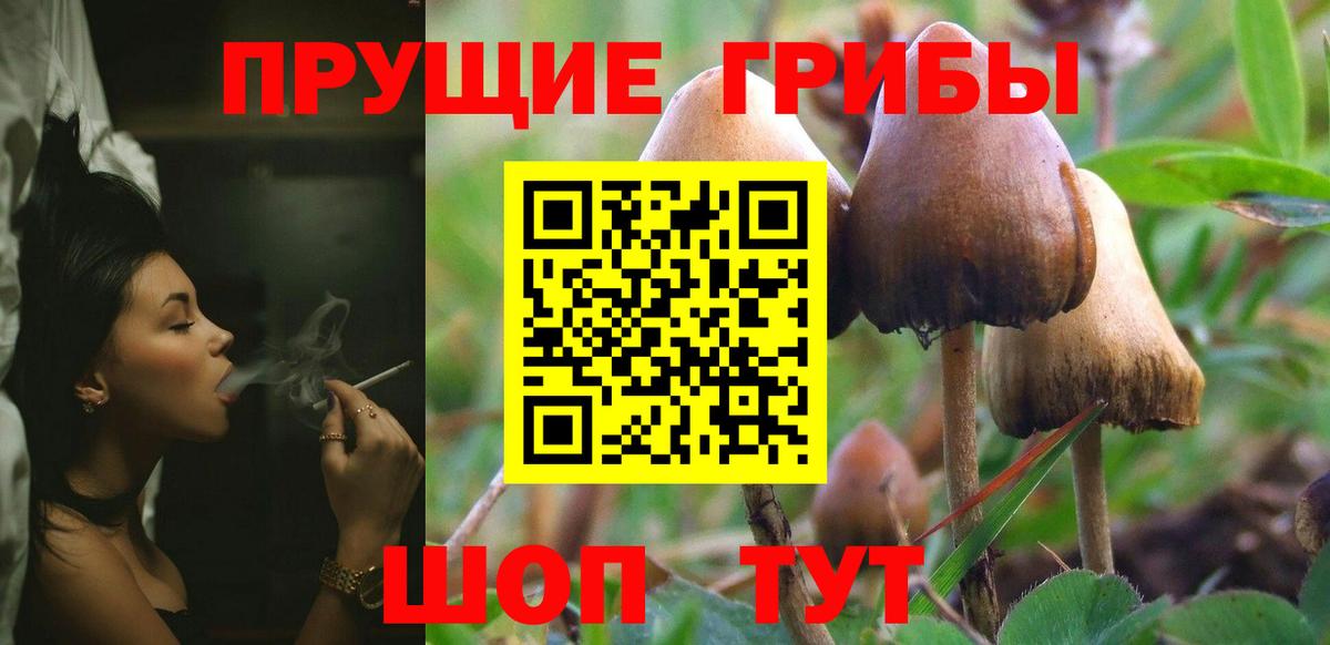 Галлюциногенные грибы MAGIC MUSHROOMS  Вход с VPN  Галлюциногенные грибы мухоморы  Бийск 
