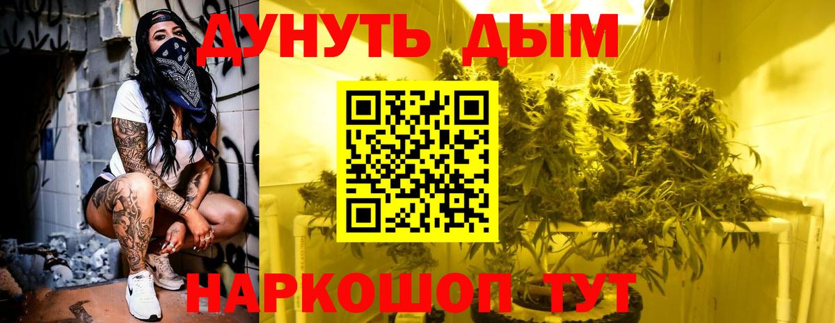 Канабис конопля Бийск