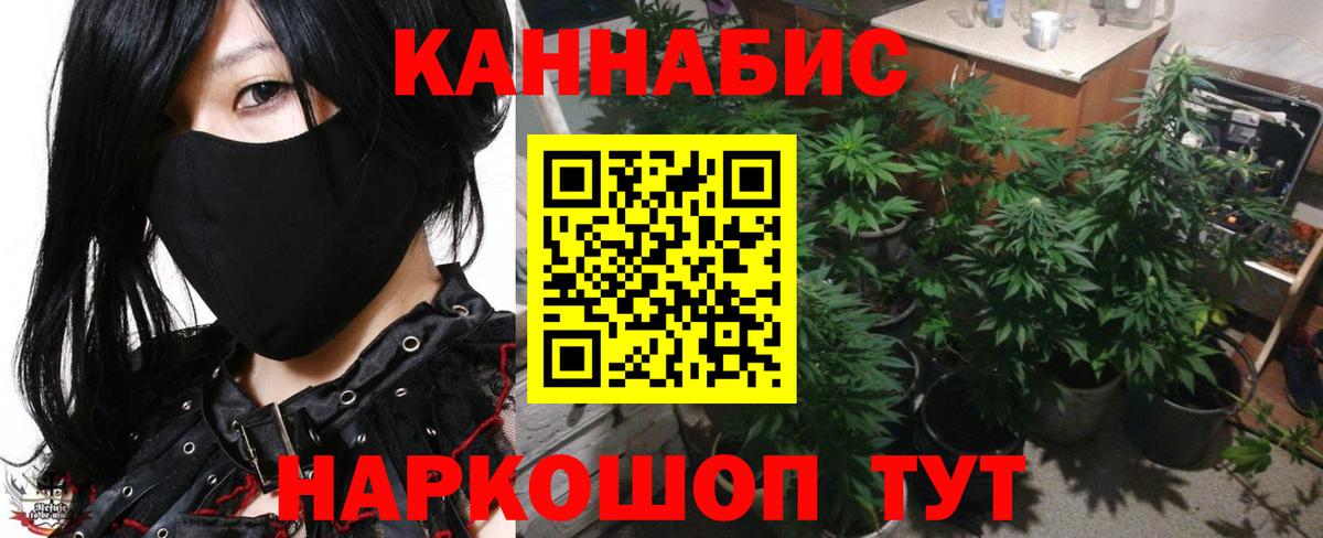 Каннабис план  Бошки марихуана конопля  Бийск  Вход с VPN  Марихуана VHQ 